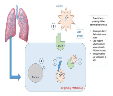 The Burden of Pneumonia in Children of India and Prospects for ...